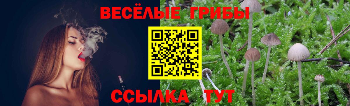 Дзержинский  Галлюциногенные грибы прущие грибы  Псилоцибиновые грибы Psilocybine cubensis  где купить наркоту  Вход с VPN 